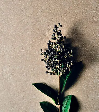 Ceramiche Coem Massive Stone — πορσελανάτο πλακάκι δαπέδου και τοίχου με όψη πέτρας
