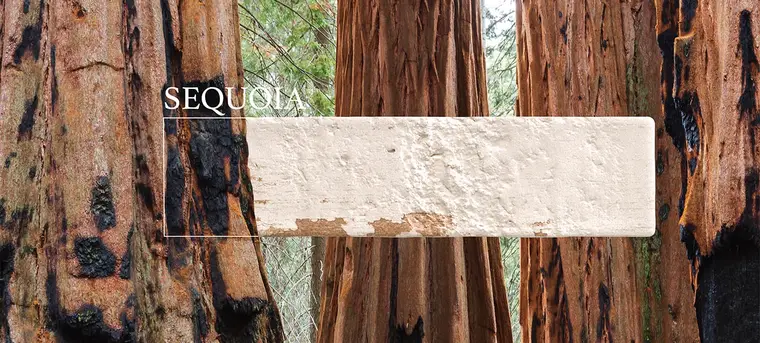 Natucer Sequoia — πλακάκι τοίχου